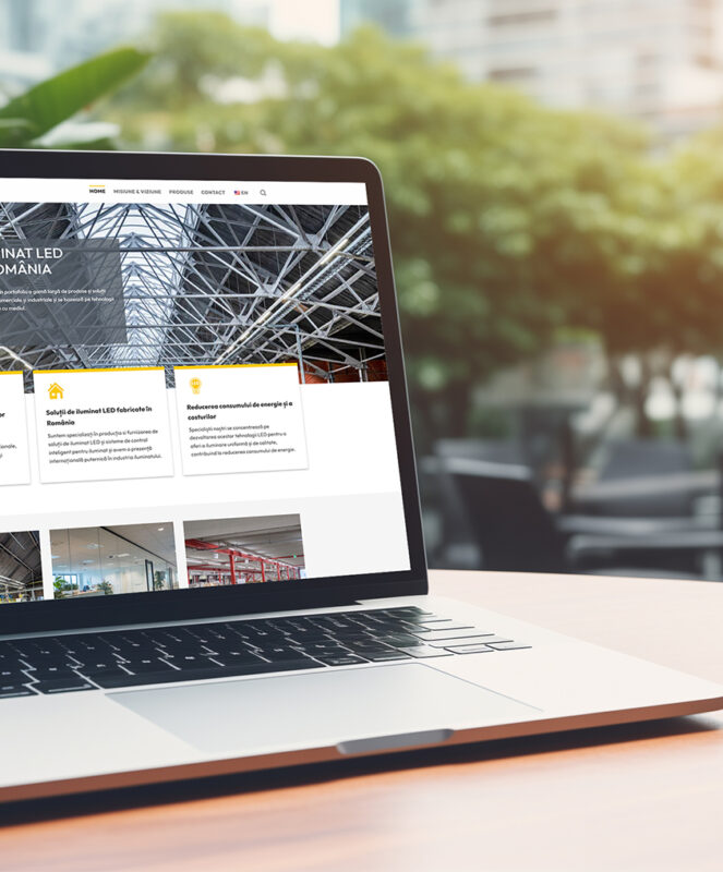 site-prezentare-elm_1